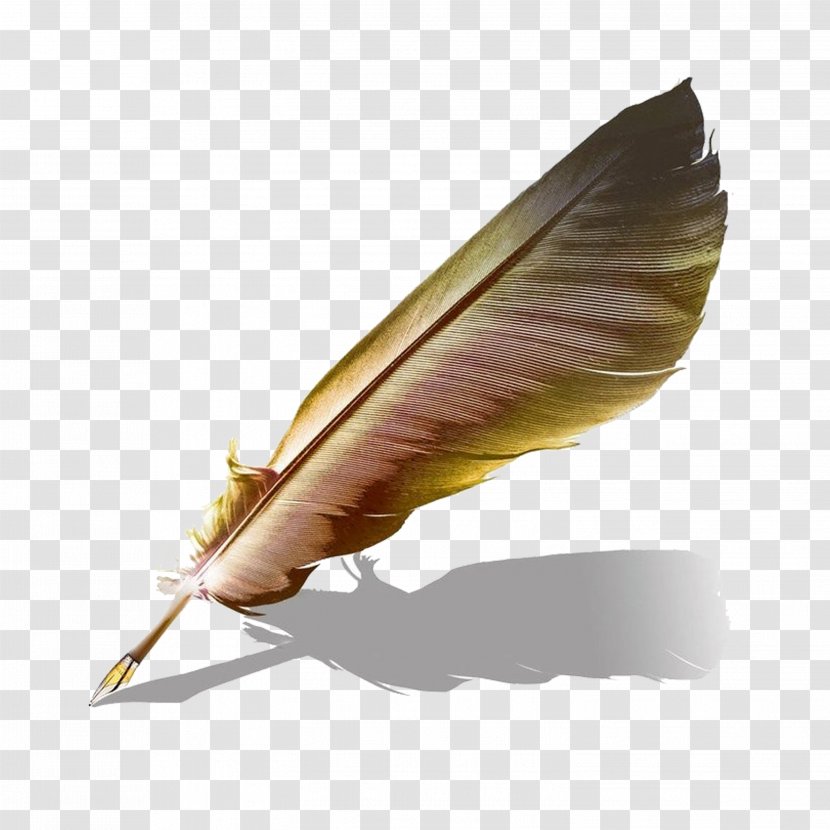 Quill Book Paper Ink - Pen Transparent PNG