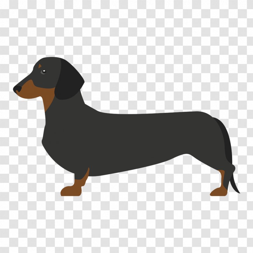 Dachshund Drever Puppy Dog Breed German Spaniel - Scent Hound Transparent PNG