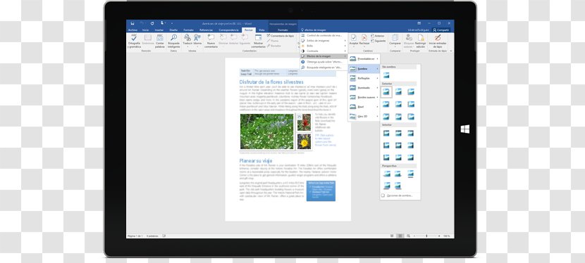 Microsoft Word Office 365 PowerPoint Computer Software - Tablet PC Transparent PNG