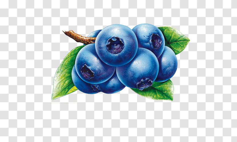 Frutti Di Bosco Blueberry Fruit Clip Art - Tea Transparent PNG