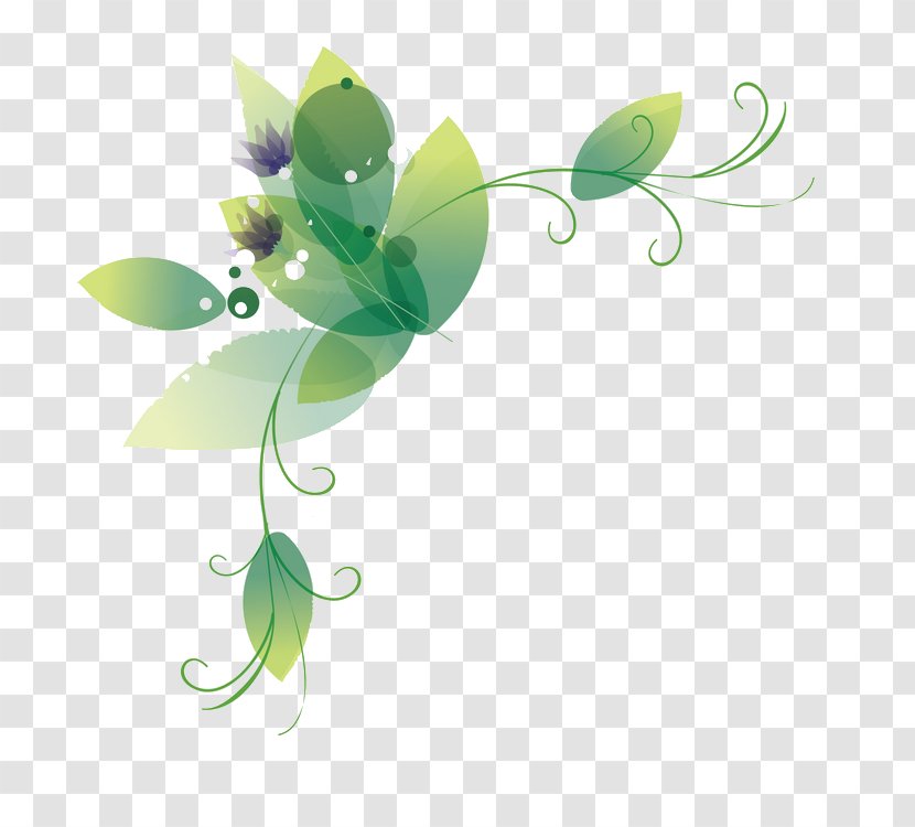 Flash Video - Plant - Ppt边框 Transparent PNG