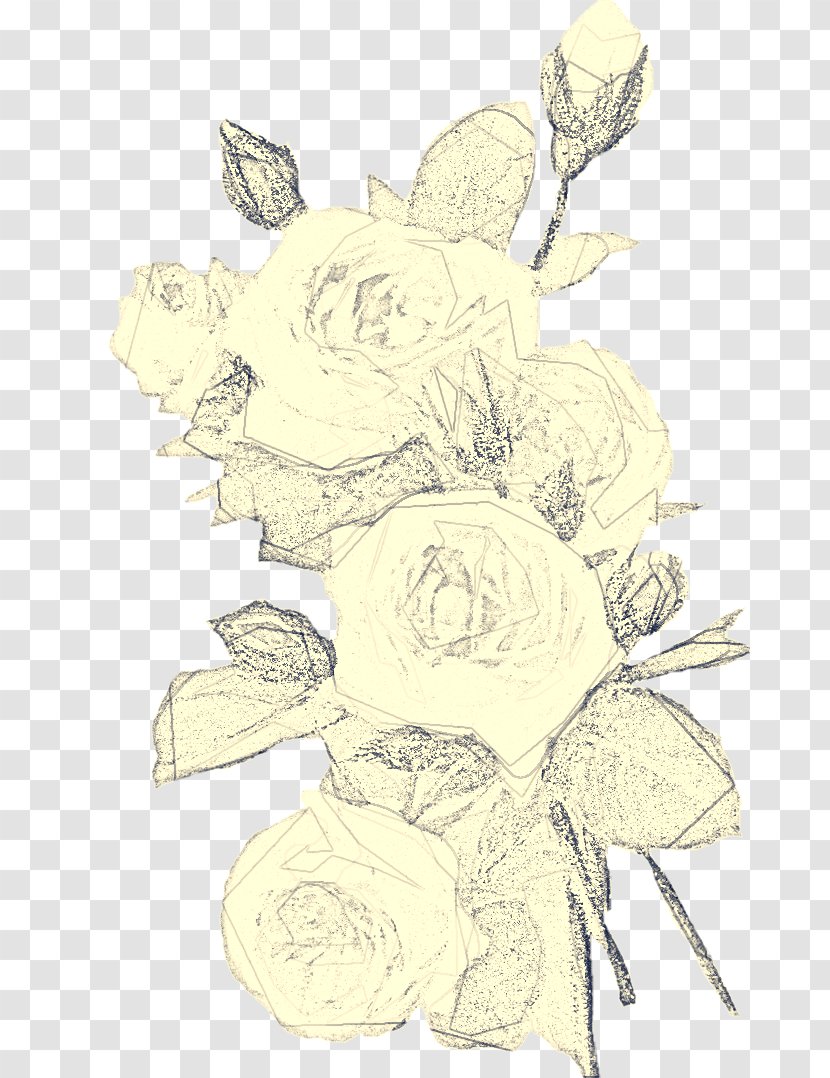 Rose - Line Art - Family Drawing Transparent PNG