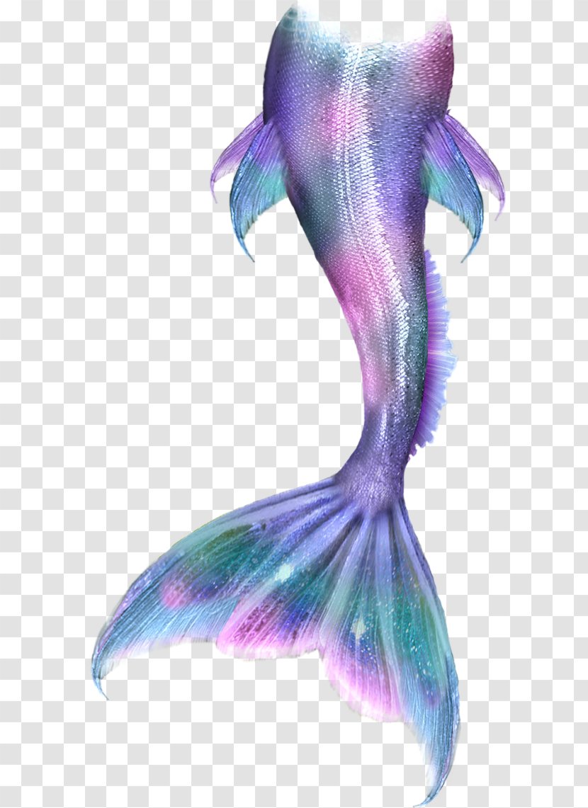 Ariel Merliah Summers Mermaid Merman - Marine Mammal - Tail Transparent PNG