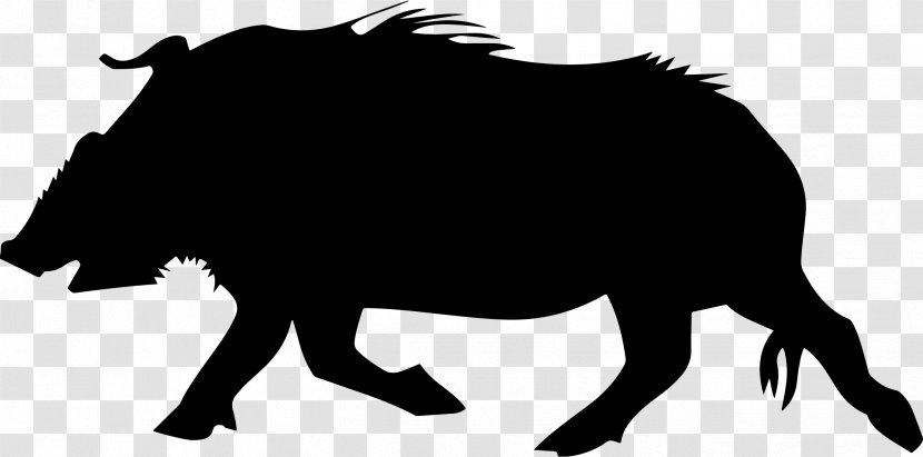 Wild Boar Common Warthog Hunting Clip Art - Fauna Transparent PNG