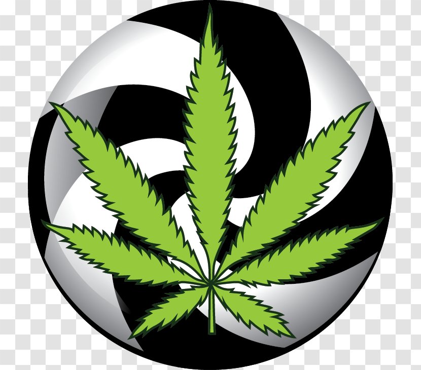 Medical Cannabis Kush Logo Shop - Hemp Family Transparent PNG