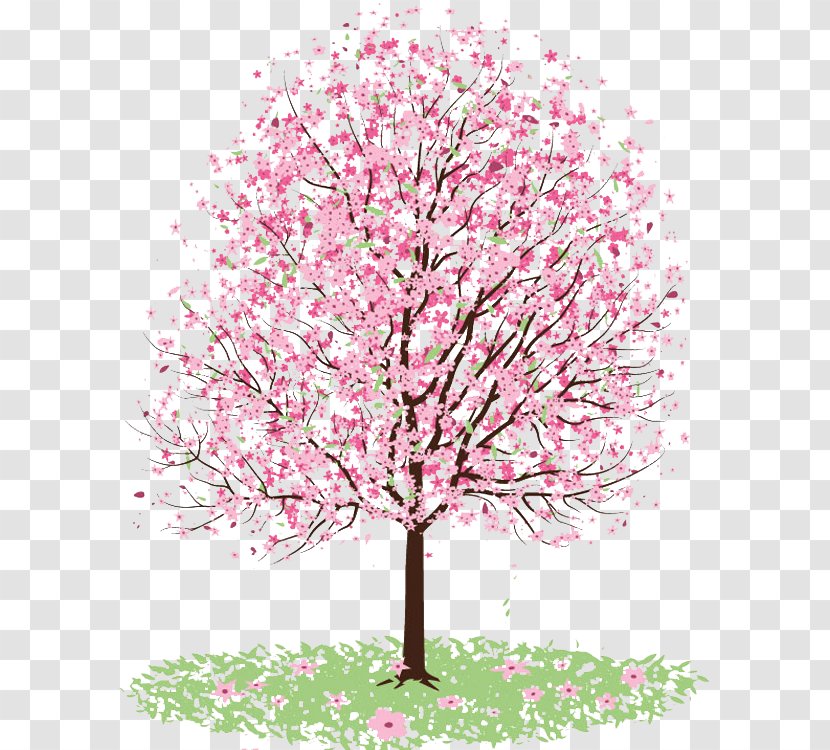 Cherry Blossom Drawing Tree Painting Transparent PNG