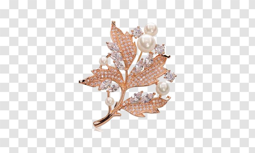 Brooch Jewellery Human Body - Maple Leaf Transparent PNG