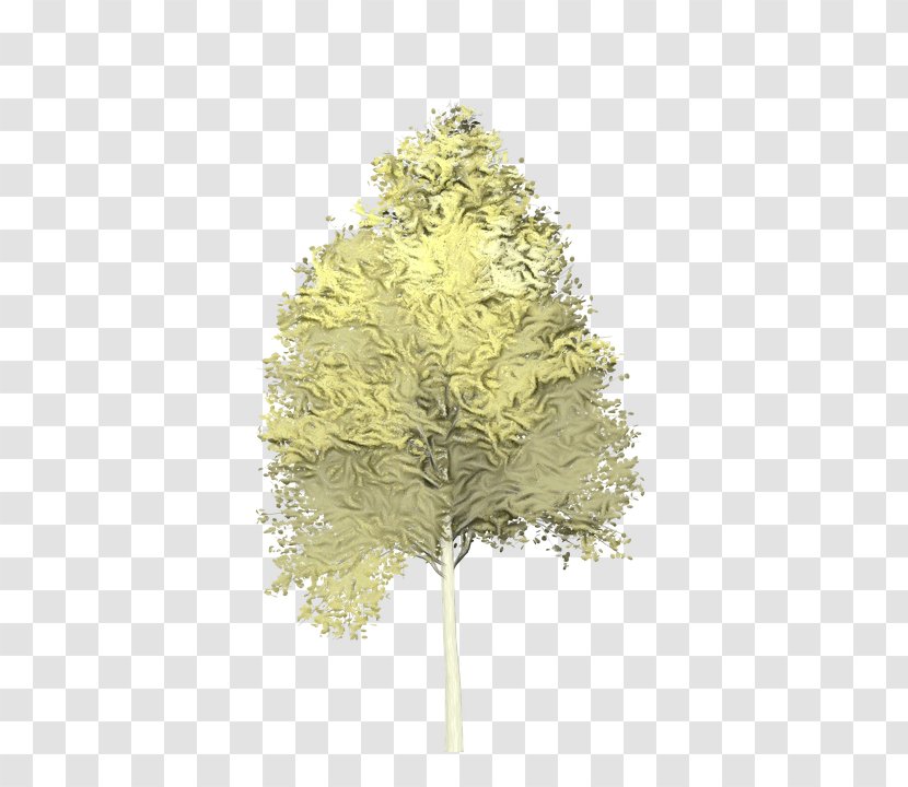 Family Tree Background - Maidenhair - Canoe Birch Hydrangea Transparent PNG