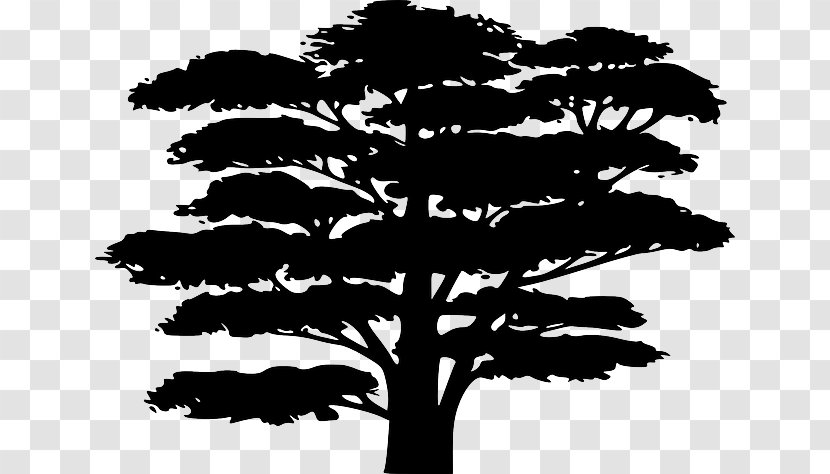 Silhouette Tree This I Call To Mind - Jungle - Japan Transparent PNG