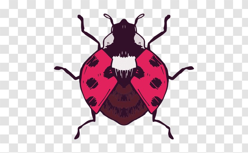 Ladybird Beetle T-shirt Vector Graphics Butterfly - Fictional Character - Tshirt Transparent PNG