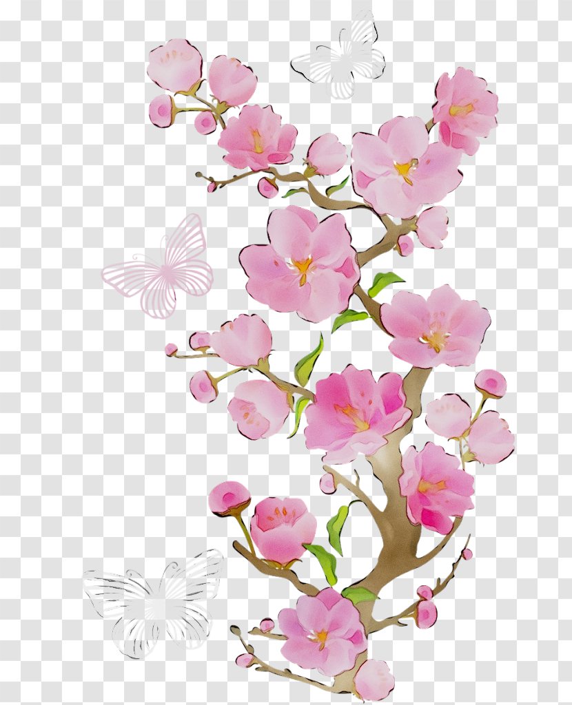 Clip Art Cherry Blossom Transparency Image - Heart Transparent PNG