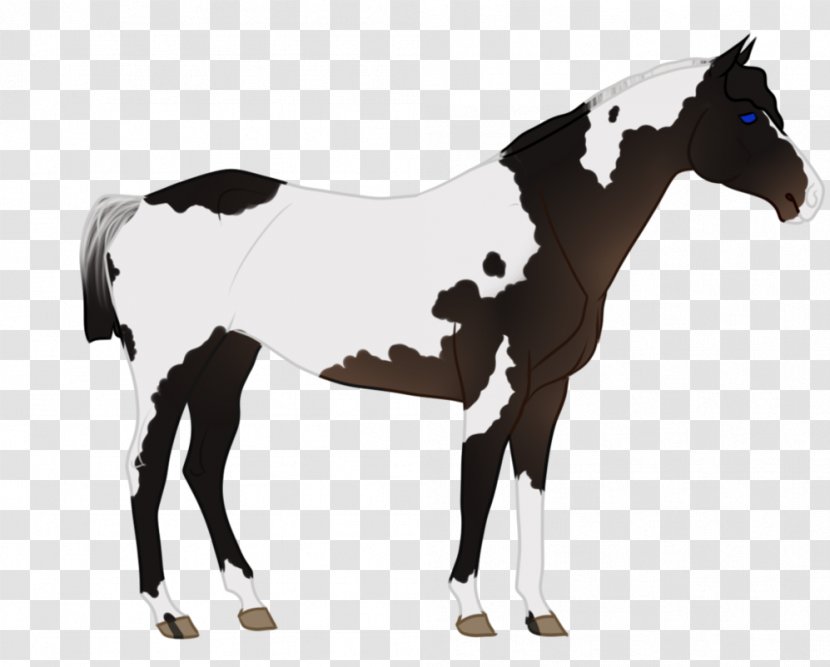 Mustang Foal Mare Stallion Colt - Bridle - Irish Elk Transparent PNG