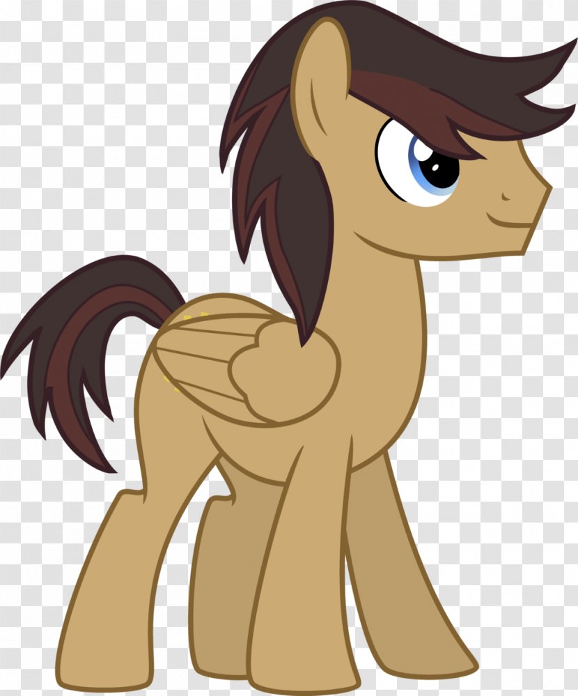 My Little Pony Stallion Horse Pegasus - Tail Transparent Png