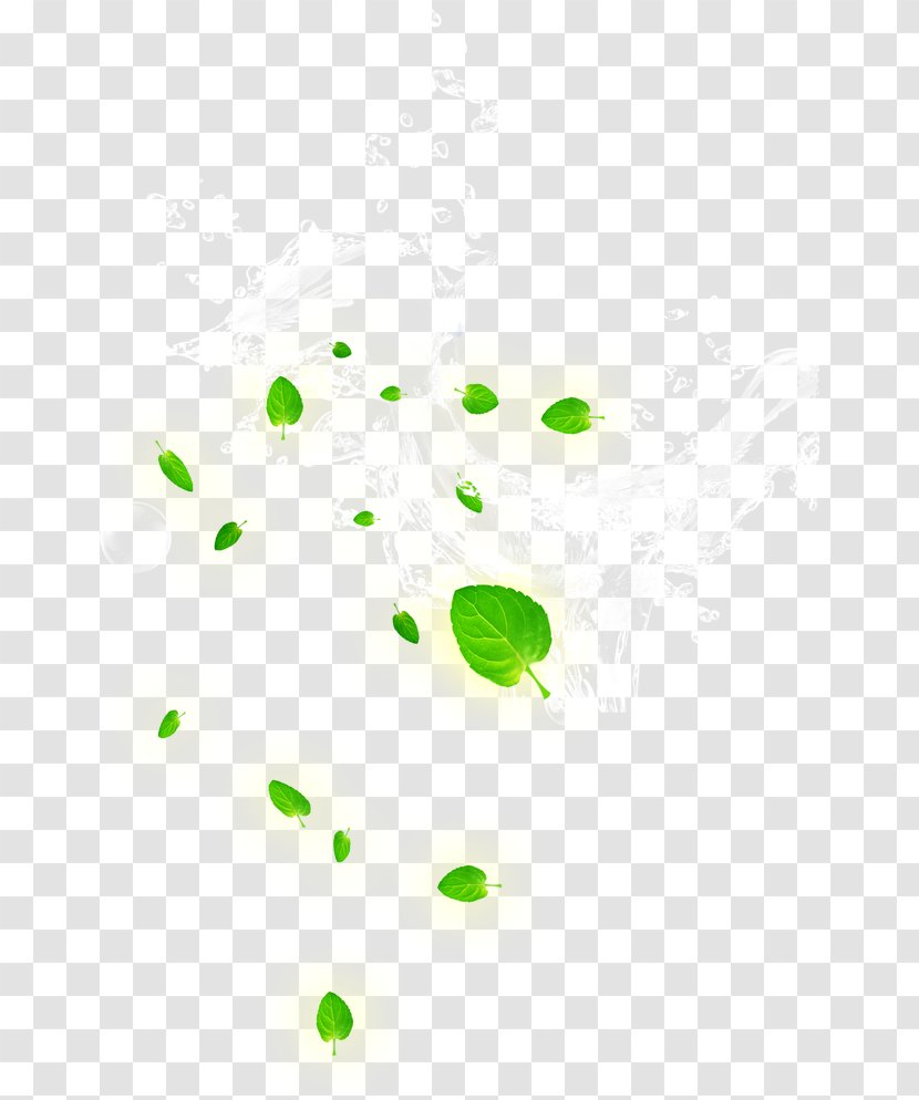 Leaf Area Pattern - Green - Spray,Water Ripples Transparent PNG