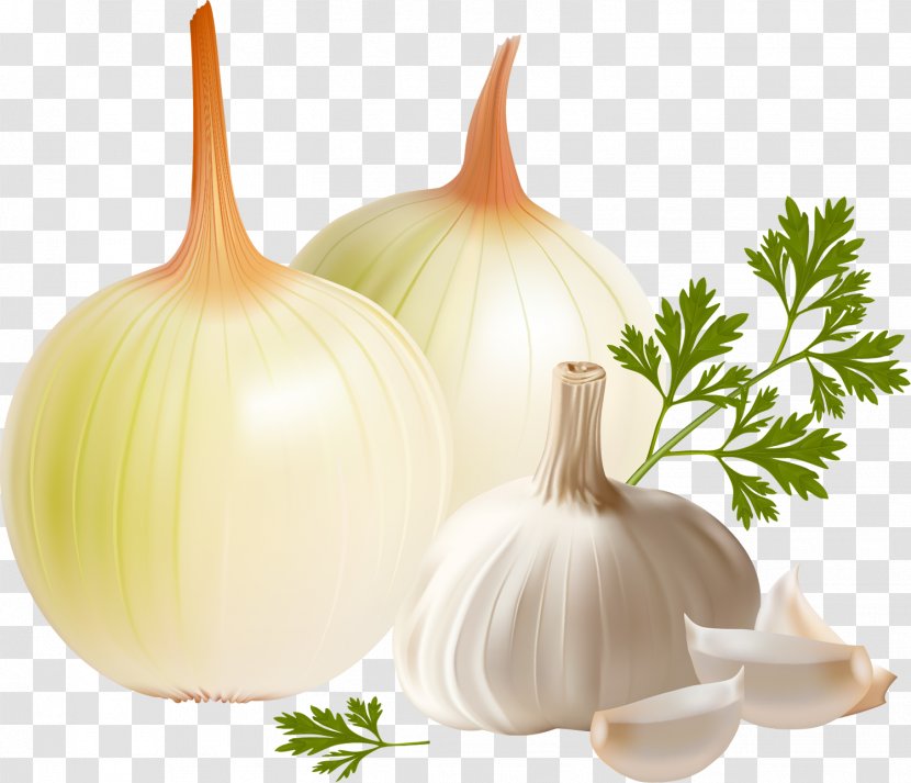 Tursu Garlic Onion Vegetable Transparent PNG