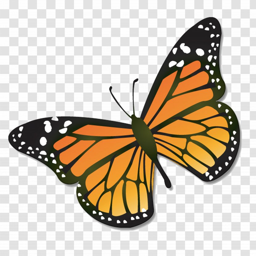 Monarch Butterfly Clip Art - Dragonfly Transparent PNG
