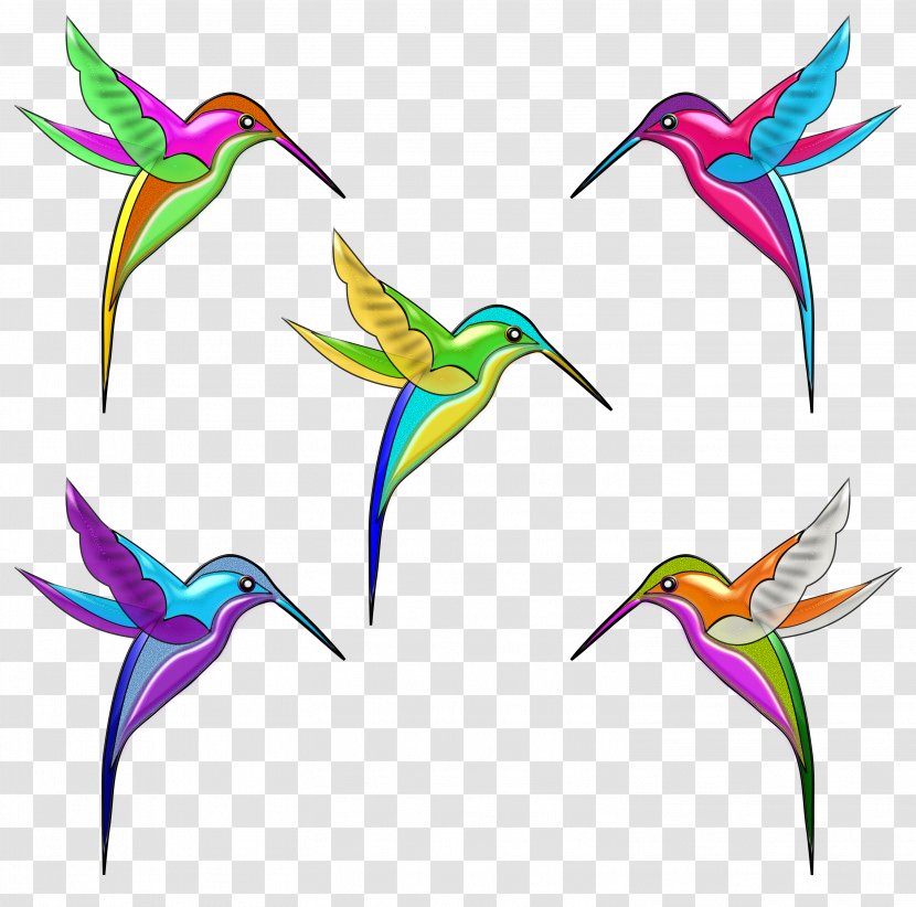 Hummingbird Violetear Clip Art - Bird Transparent PNG