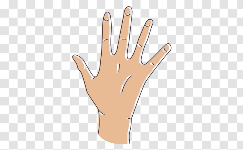 Thumb Gesture - Index Finger - Hand Transparent PNG