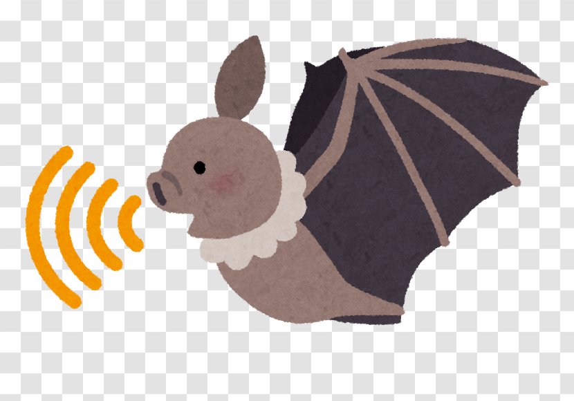 Bat Super Nintendo Entertainment System Animal Echolocation Acoustic Wave Ultrasound Transparent PNG