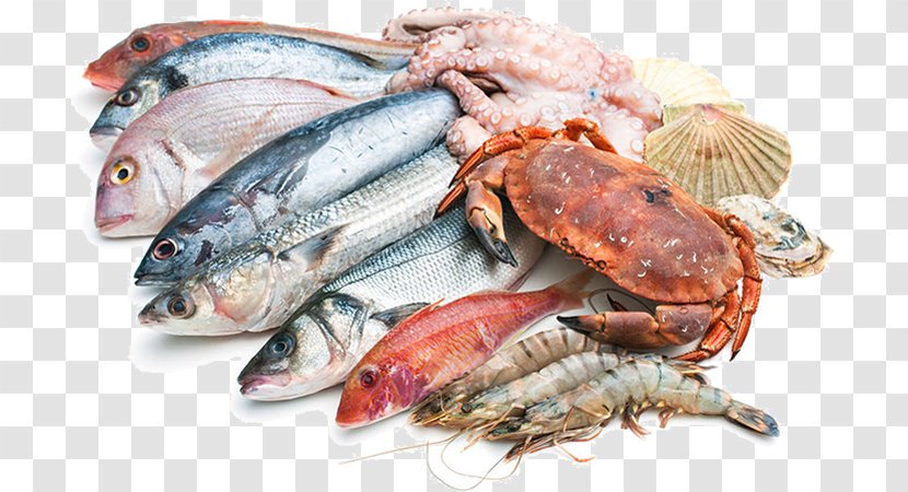 Fish Restaurante Brisas - Animal Source Foods - Puerto Pollensa Trattoria La Darsena Mediterranean CuisineMixed Seafood Risotto Transparent PNG