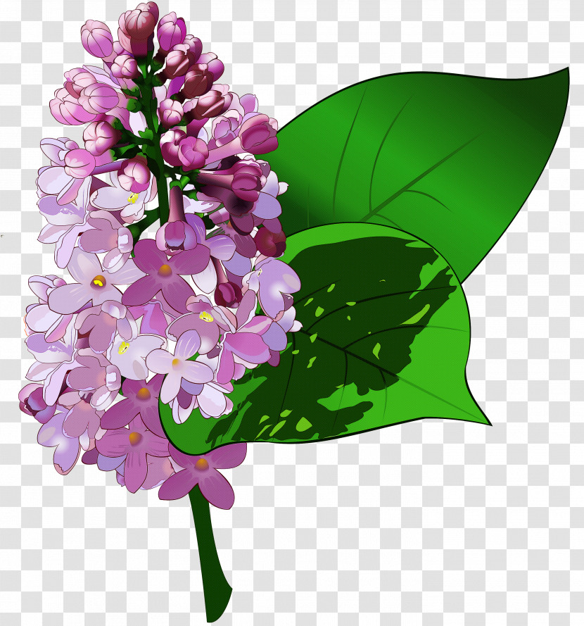 Flower Lilac Plant Lilac Purple Transparent PNG