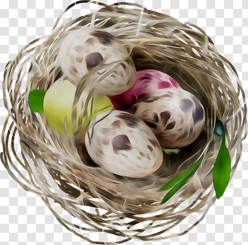 Bird Basket NEST+m - Nest - Nestm Transparent PNG