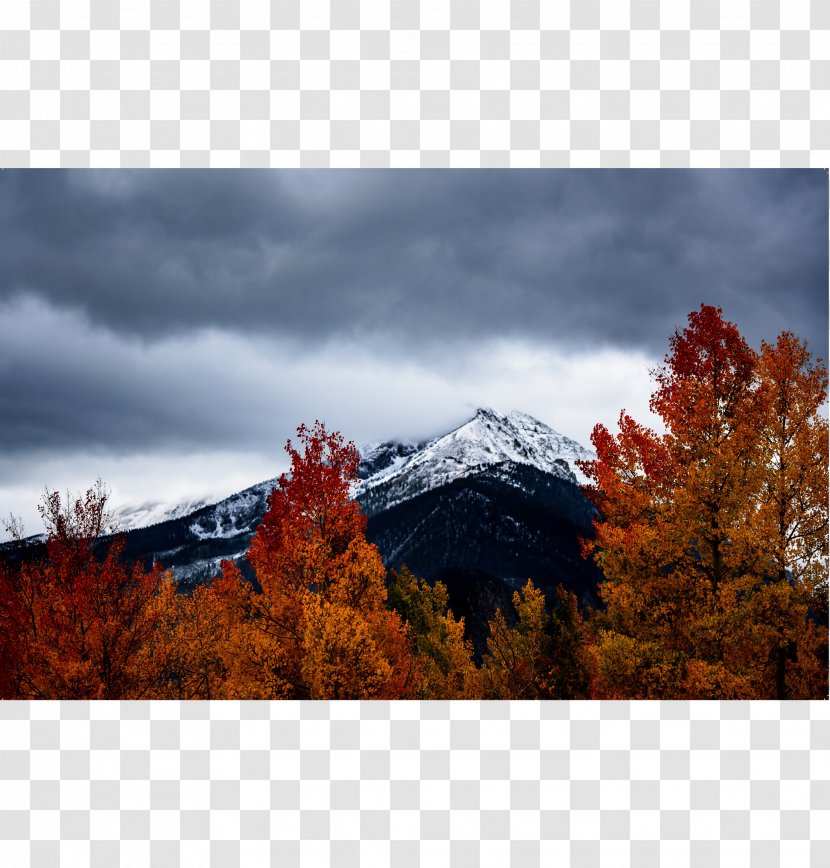 Autumn Leaf Color Landscape Photography Nature - National Park Transparent PNG