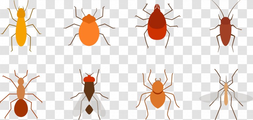 Mosquito Killing Insect Pest - Invertebrate - Several Pests Material Transparent PNG
