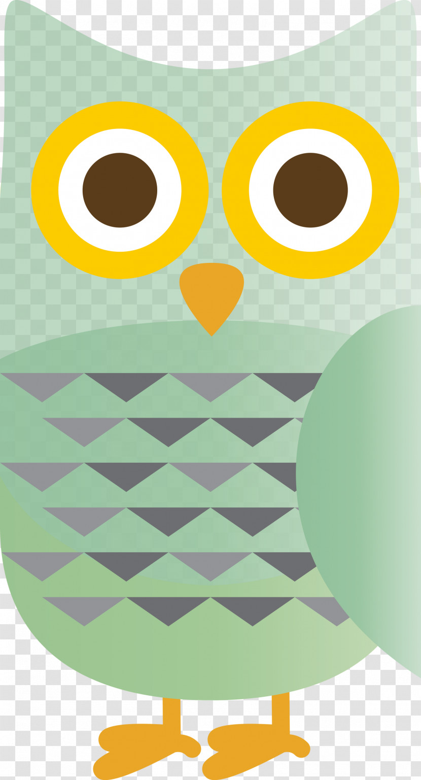 Owl M Yellow Meter Pattern Beak Transparent PNG