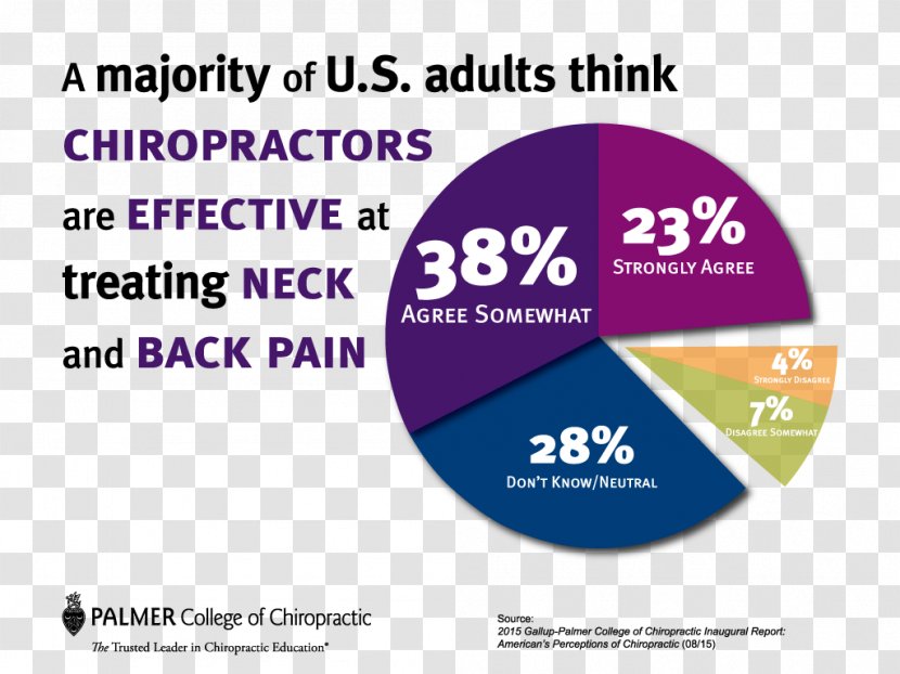 Palmer College Of Chiropractic Low Back Pain Chiropractor - Health Transparent PNG