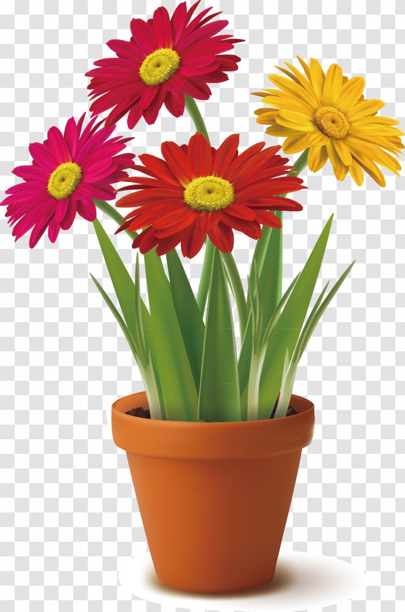 Flowerpot Clip Art - Gerbera - Chrysanthemum Color Transparent PNG