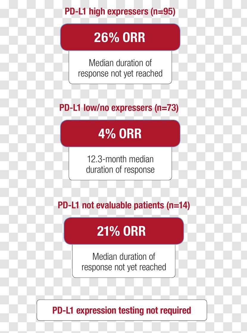 Durvalumab Imfinzi Metastatic Urothelial Carcinoma Transitional Cell Efficacy - Biomarker - Bladder Cancer Transparent PNG