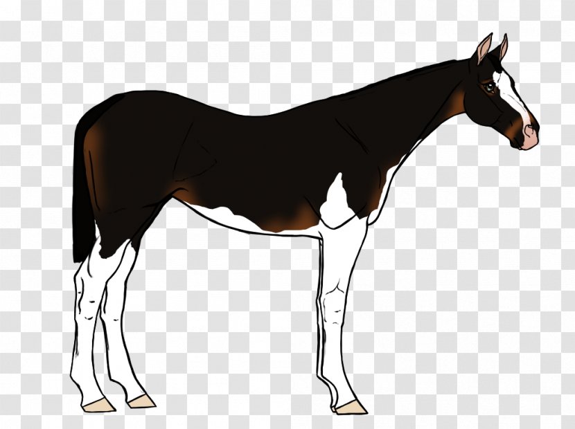 Mule Foal Mustang Mare Stallion - Horse Like Mammal - Auction Transparent PNG