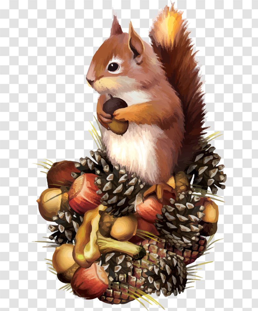 Squirrel Chipmunk Clip Art - Vertebrate - Vector Transparent PNG