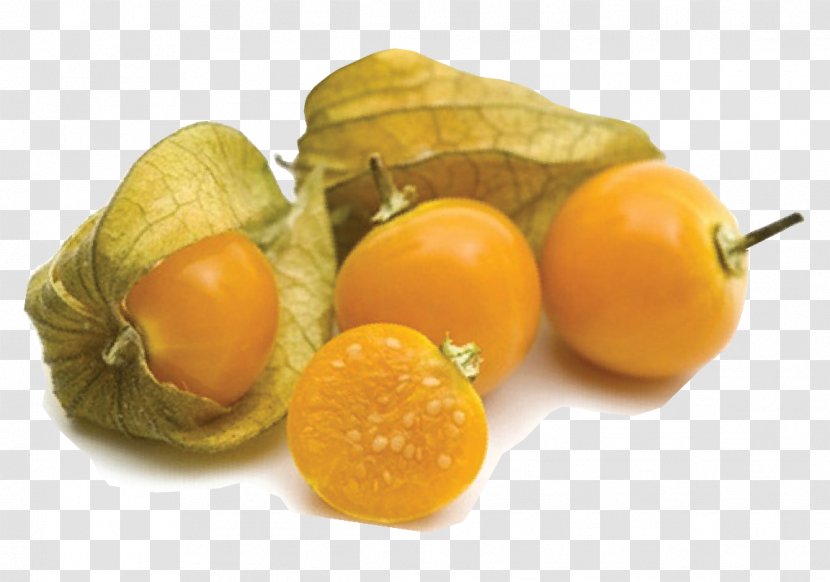 Clementine Peruvian Groundcherry Fruit Food Vegetable - Highprotein Diet Transparent PNG