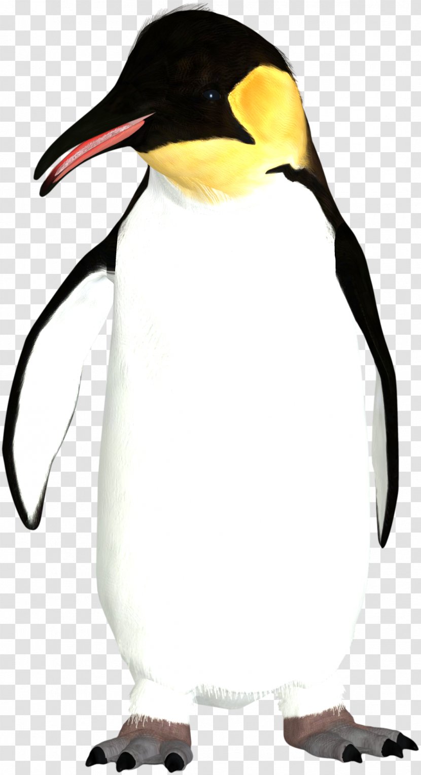 King Penguin Icon - Razorbills Transparent PNG