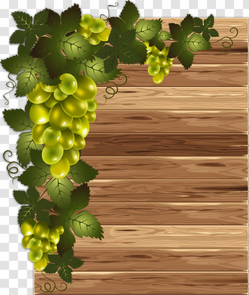 Common Grape Vine Leaves Clip Art - Vitis Transparent PNG