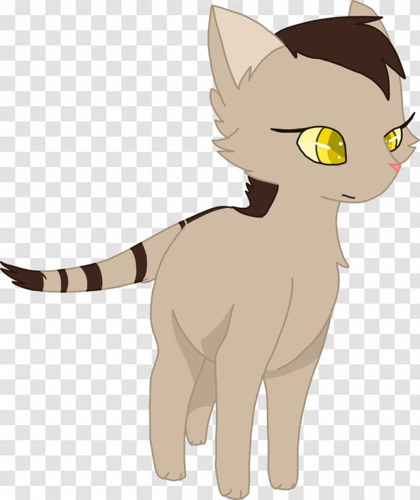 Kitten Cat Whiskers Windstar Shadowstar - Horse Transparent PNG