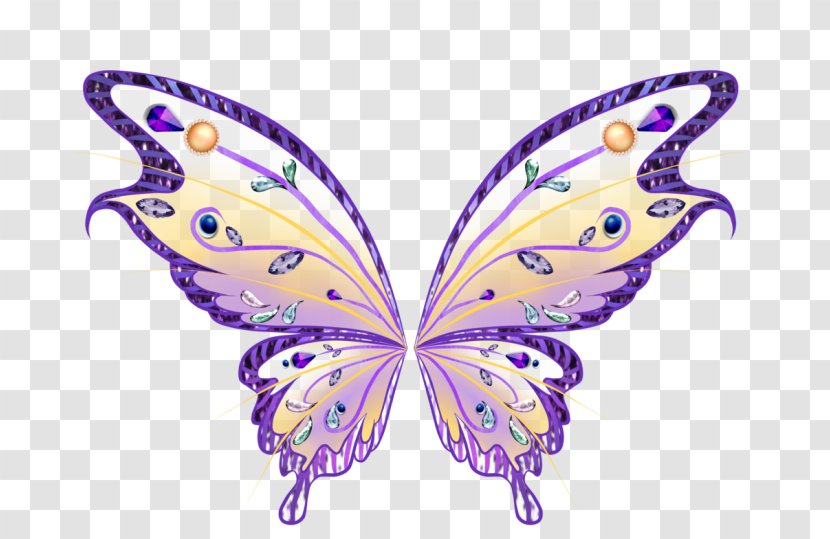 Fairy Butterfly Drawing Clip Art - Wing Transparent PNG