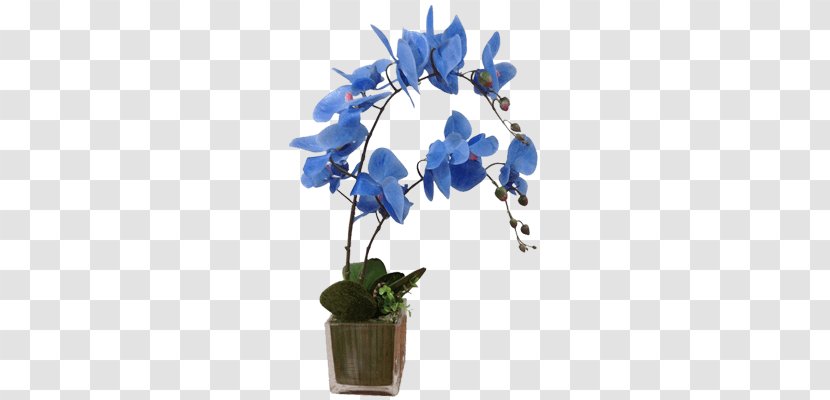 Cut Flowers Flowerpot Floral Design Flowering Plant - Stem - Orchid Decoration Transparent PNG