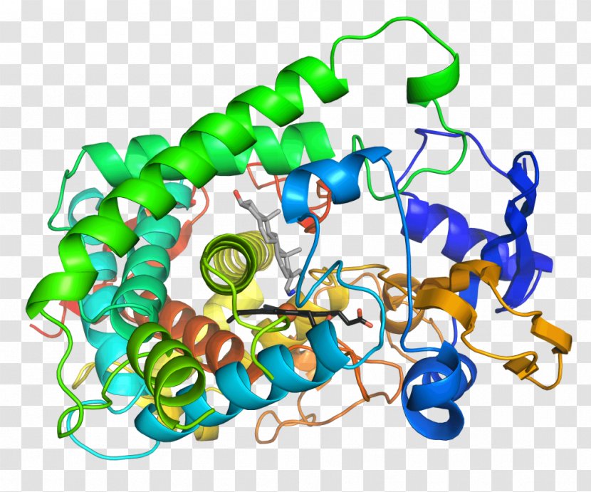 Enzyme Activation Energy Catalysis Cytochrome P450 Active Site - Artwork - Biological Medicine Catalogue Transparent PNG