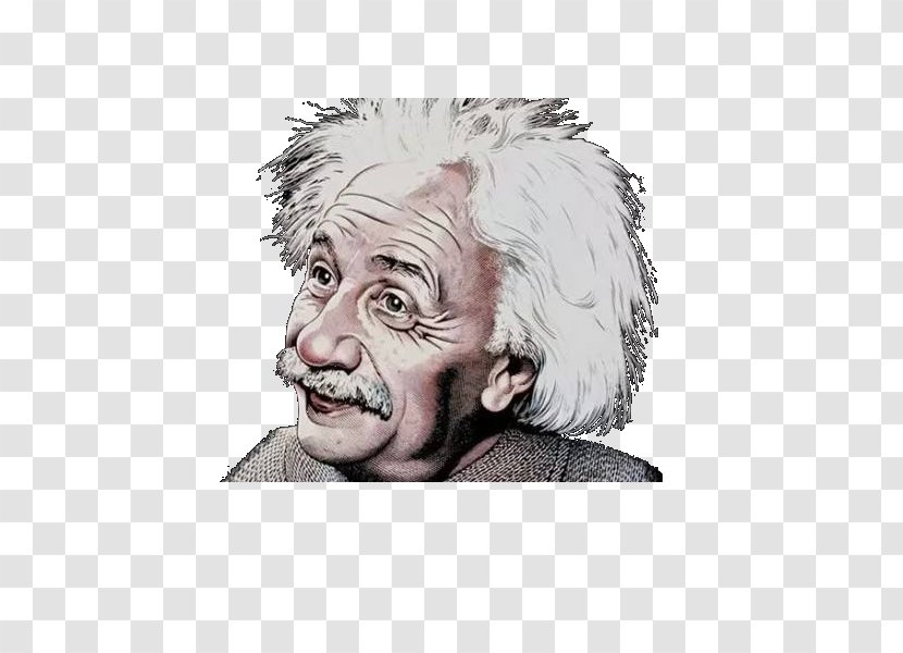 Albert Einstein T-shirt Smile - Face - Einstein's Head Transparent PNG