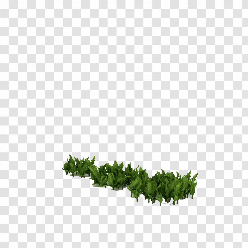 Icon - Plant - Green,Grass Transparent PNG