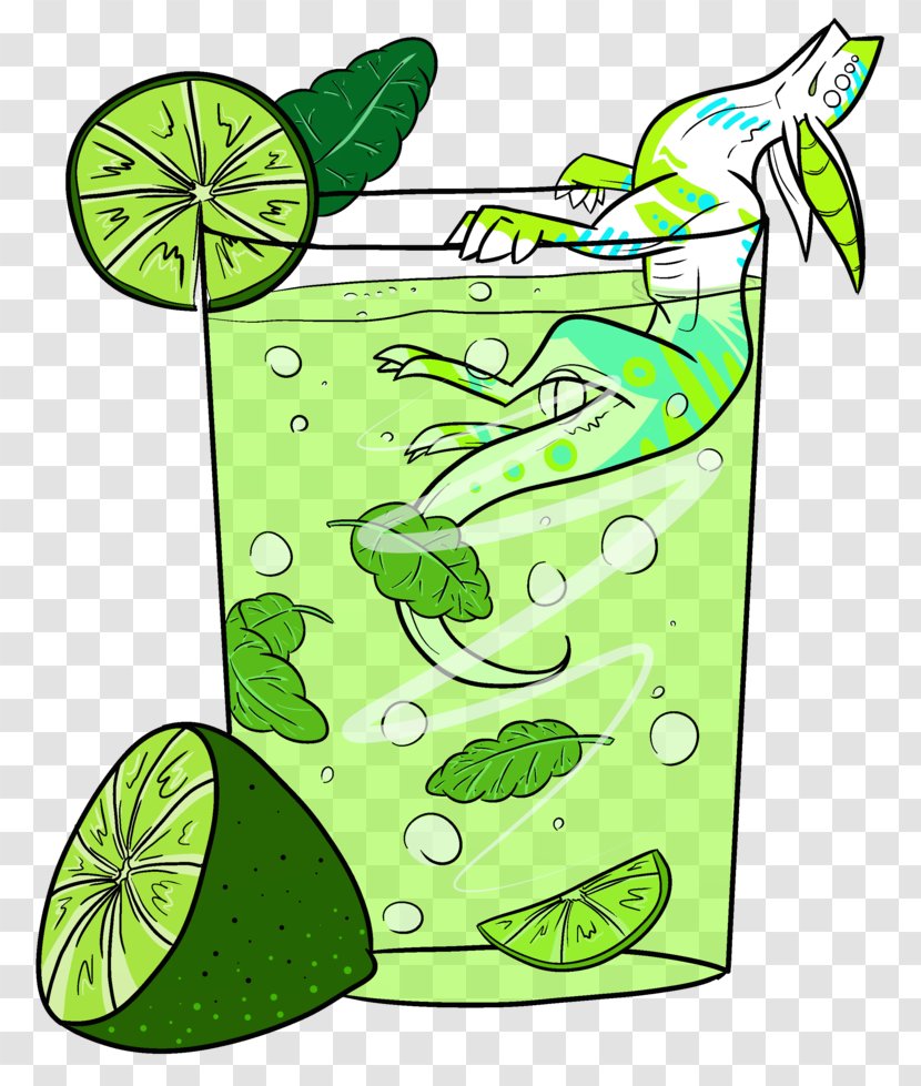 Mojito Lime Drawing Art - Plant Transparent PNG