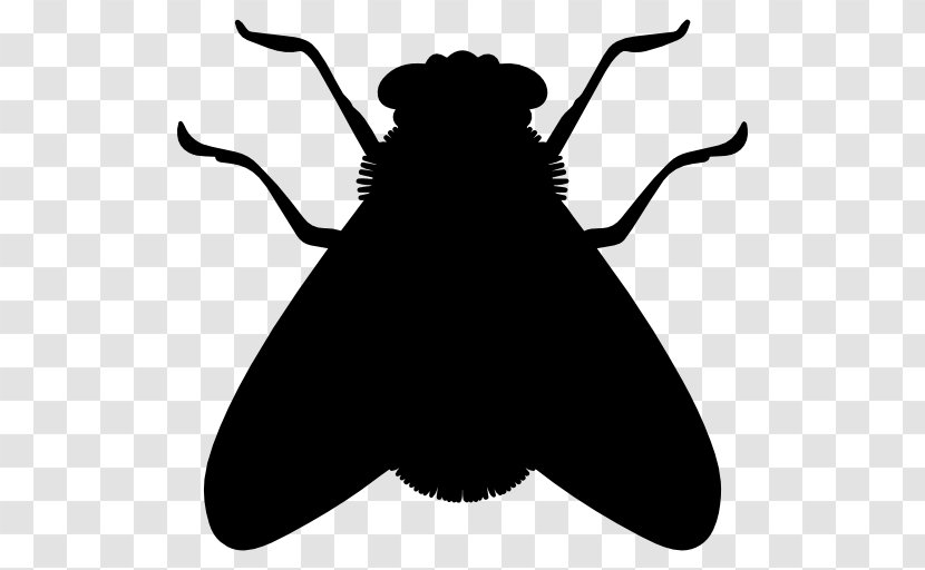 Insect Silhouette Fly - Monochrome Photography Transparent PNG