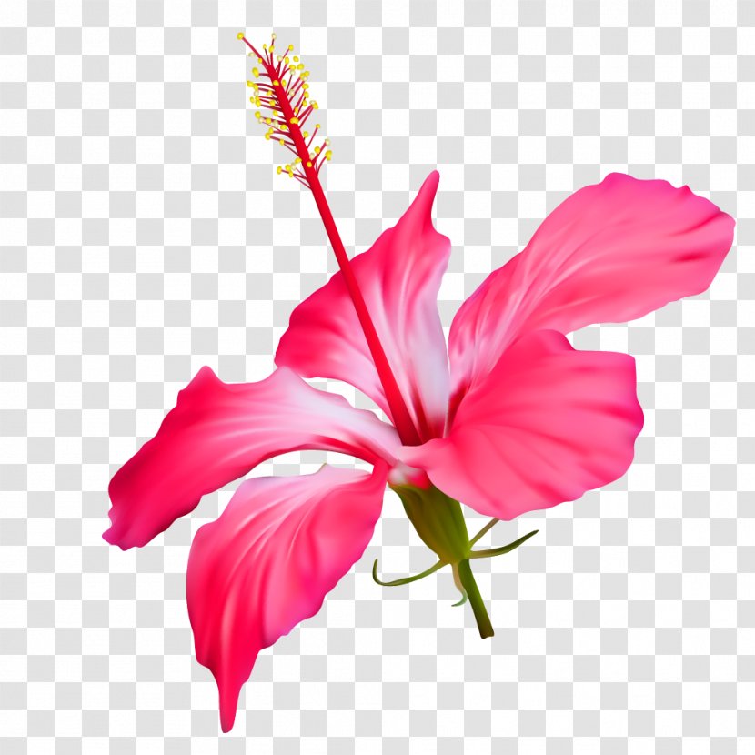 Vector Graphics Flower Shoeblackplant Image - Flowering Plant - Peppa Pig Flowers Transparent PNG