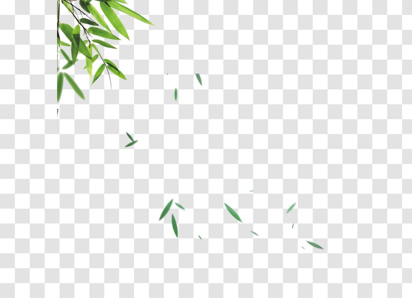 Leaf Image Bamboo Illustration - Tree Transparent PNG