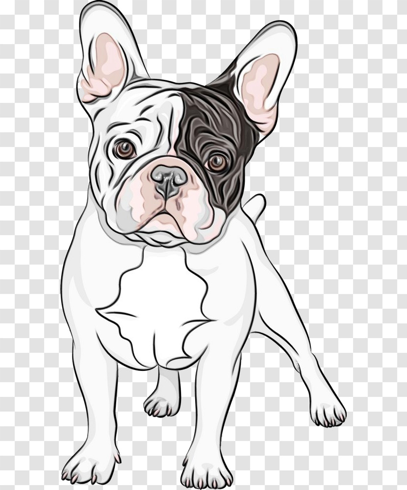 French Bulldog Transparent PNG