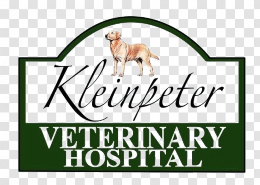 Kleinpeter Veterinary Hospital Labrador Retriever Cat Veterinarian Dog Daycare Transparent PNG