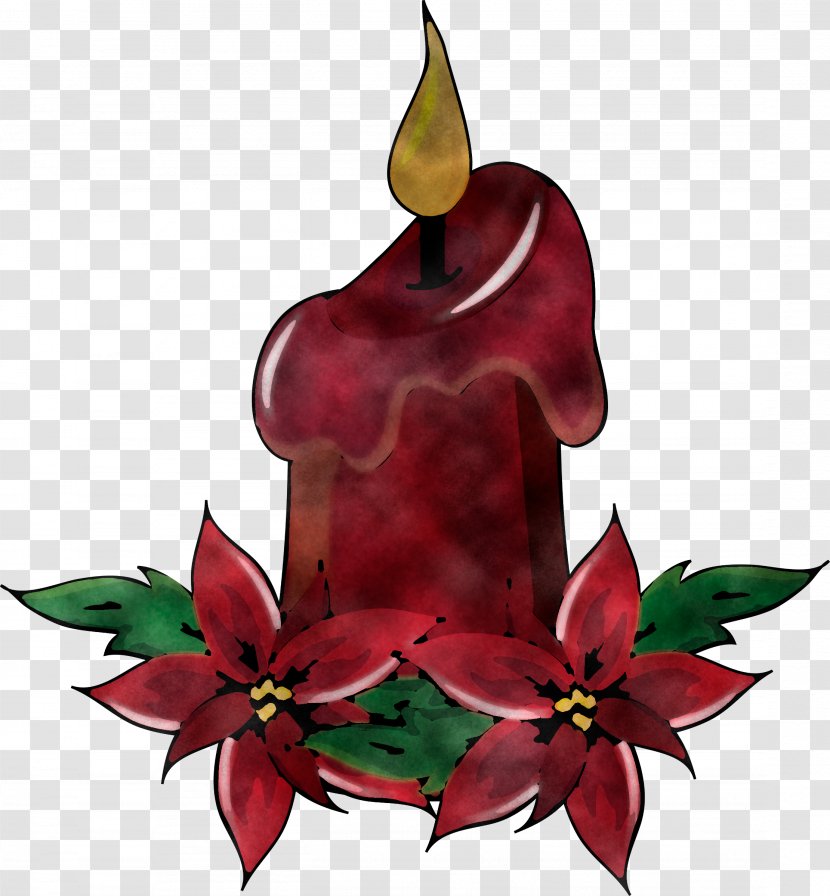 Holly - Plant - Flower Transparent PNG